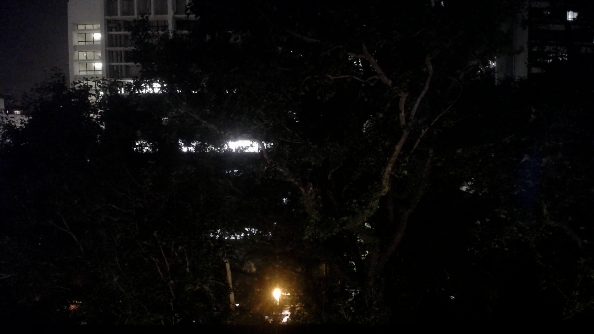 Real-time Observation Photo