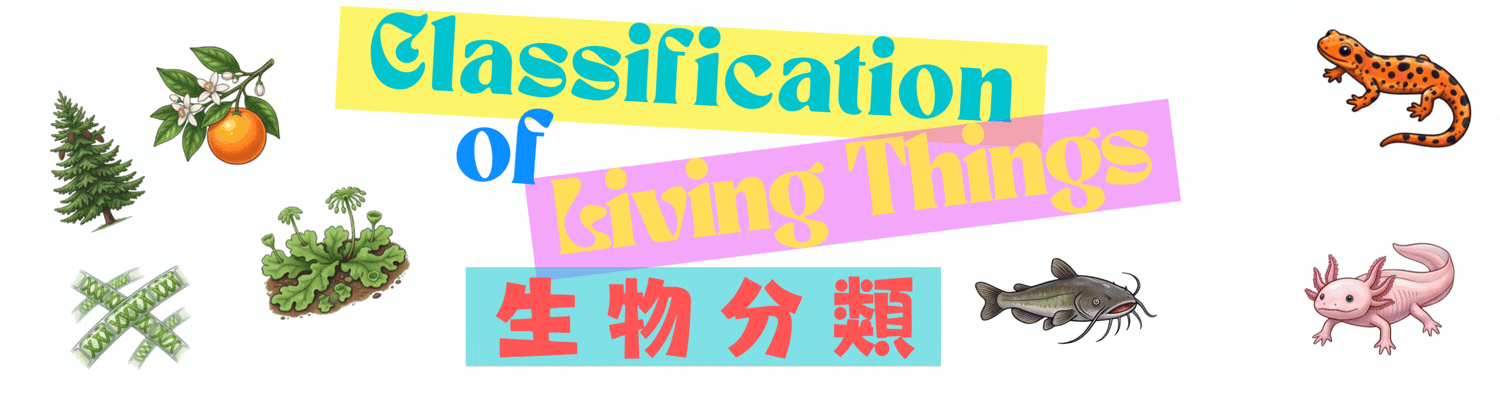 Biological Classification Game Banner