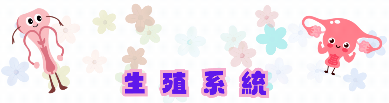 Human Reproductive System Game Banner