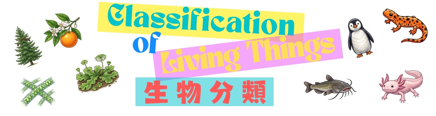 Classification of living thing